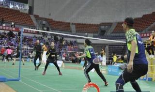 男子羽毛球单打规则